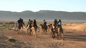Lire la suite à propos de l’article Zagora Luxury Camp Hiking